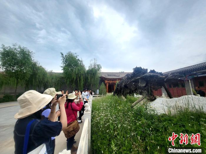 圖為媒體記者在青海永錄民俗參觀采訪?！⊙Φ?攝