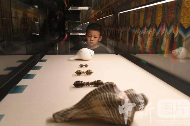 圖為展出的“白海螺法器”吸引小觀(guān)眾。 中新社記者 戴文昌 攝