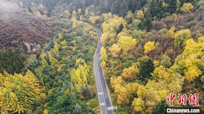 深秋，航拍位于蘭州市榆中縣的興隆山，景色如畫。金峯 攝</p>
<p>