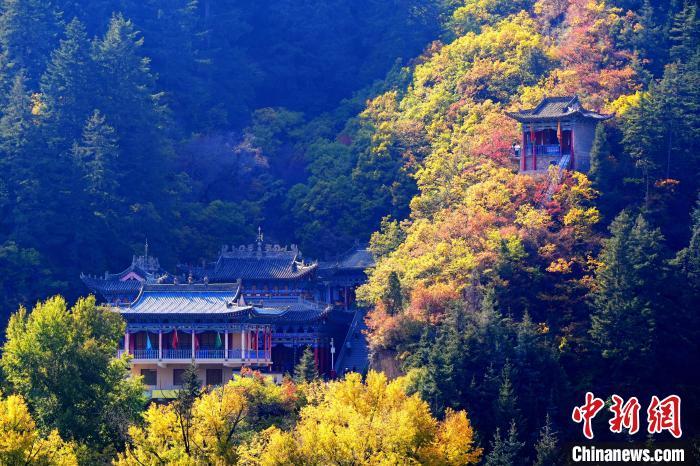 深秋，位于蘭州市榆中縣的興隆山景色如畫。宮衛(wèi)紅 攝