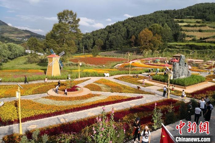 圖為航拍甘肅甘南臨潭縣八角鎮(zhèn)，花海吸引游人。(資料圖)高展 攝