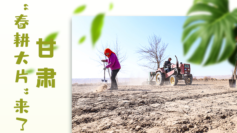 【甘快看】海報|瞧！甘肅“春耕大片”來了