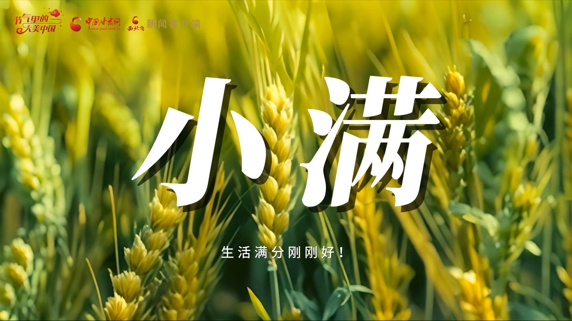 【節(jié)氣里的大美甘肅·小滿】生活滿分剛剛好！