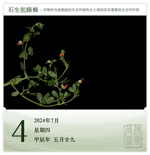 1719995998884738.png 箴歷日歷7-4.png