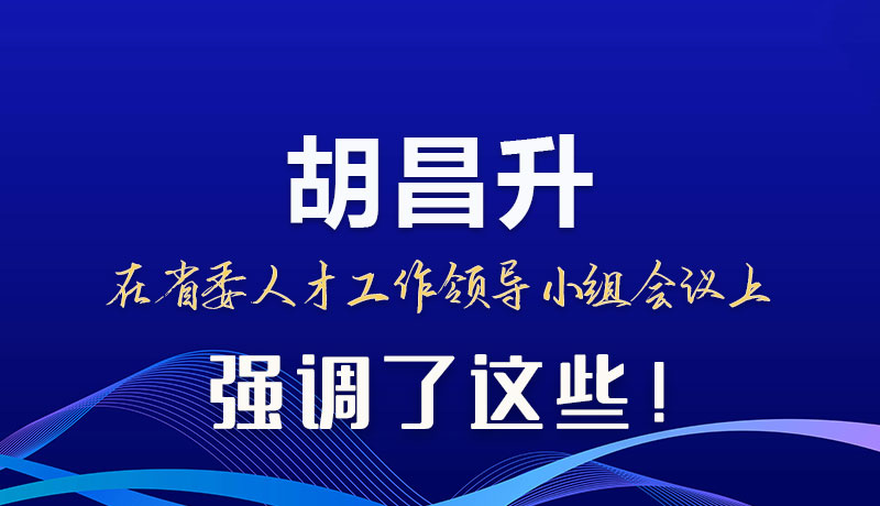 圖解|胡昌升在省委人才工作領導小組會議上強調(diào)了這些!