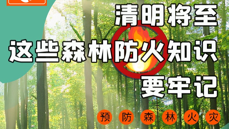 【甘快看】圖解|緊繃“安全弦”！清明，這些森林防火知識要牢記