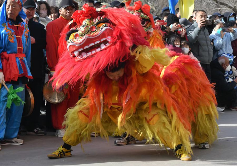 蘭州北獅表演現(xiàn)場。受訪者供圖
