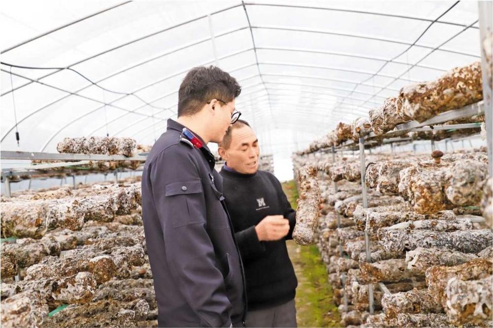 藏藍身影護春耕