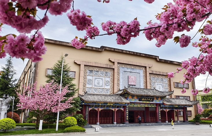 圖集｜“櫻”你而美，共赴金徽春日之約