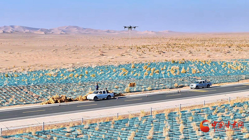 甘肅全面開展春季植樹造林 山川覆綠氣象新